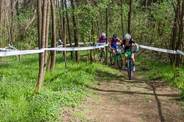 Miciola Cross Country (ph Giacomo Musetti) #26