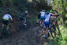 Miciola Cross Country (ph Giacomo Musetti) #48
